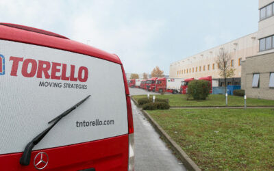 Torello, Topco e Ars Logica – Aggiornamenti da Bologna