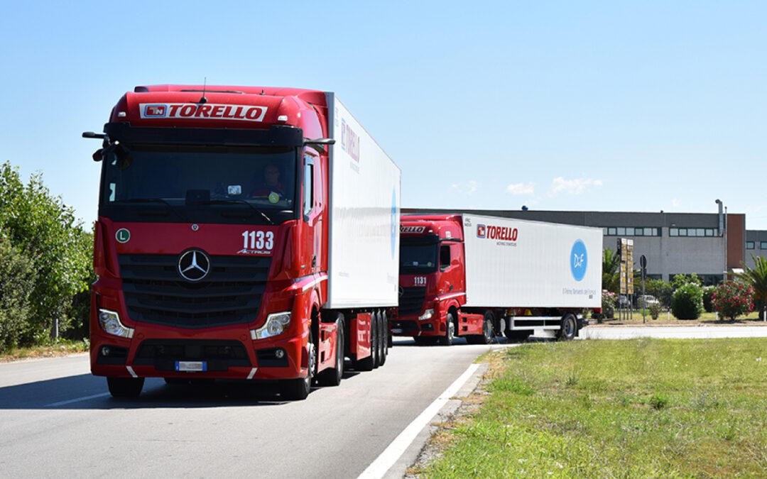 Torello and the new international temperature-controlled groupage service to Germany share benefits.